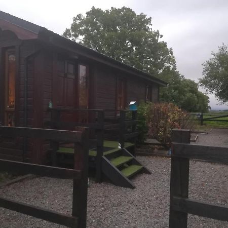 Stay With Your Pet Killarney Bagian luar foto