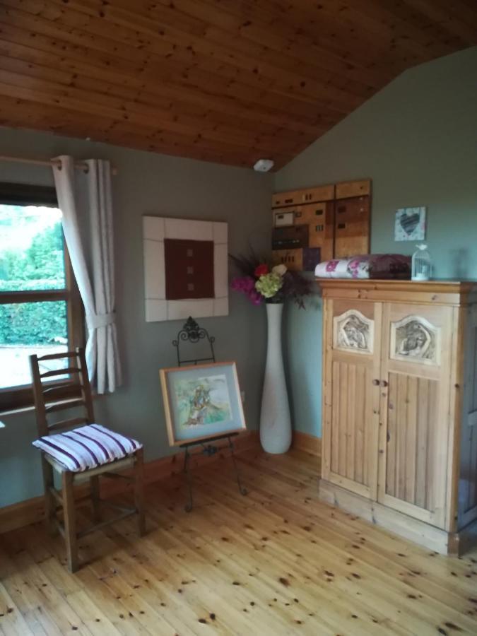 Stay With Your Pet Killarney Bagian luar foto