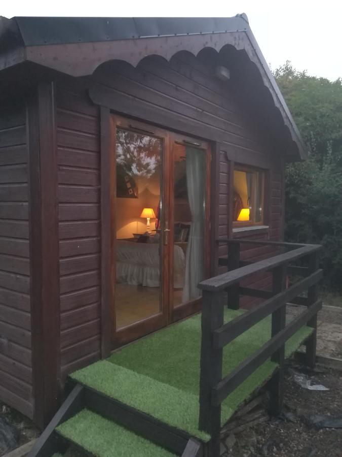 Stay With Your Pet Killarney Bagian luar foto