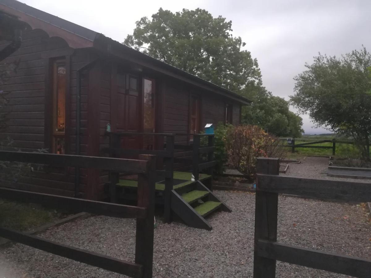 Stay With Your Pet Killarney Bagian luar foto