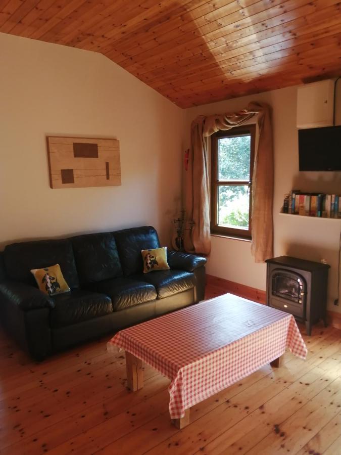 Stay With Your Pet Killarney Bagian luar foto