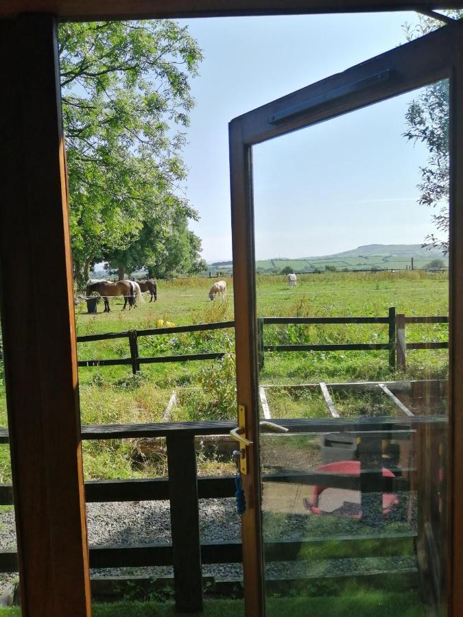 Stay With Your Pet Killarney Bagian luar foto
