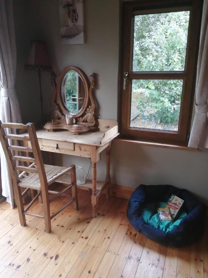 Stay With Your Pet Killarney Bagian luar foto