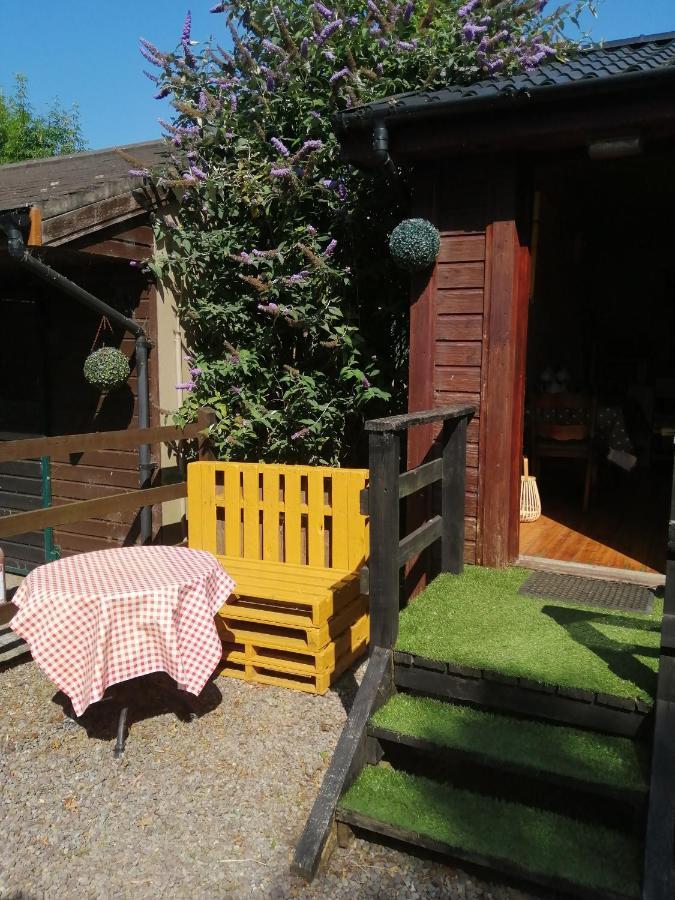 Stay With Your Pet Killarney Bagian luar foto